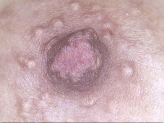 サンプル画像 10