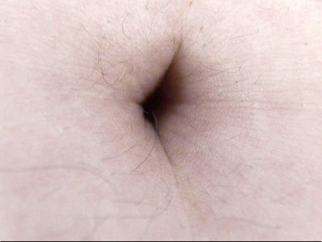 サンプル画像 12