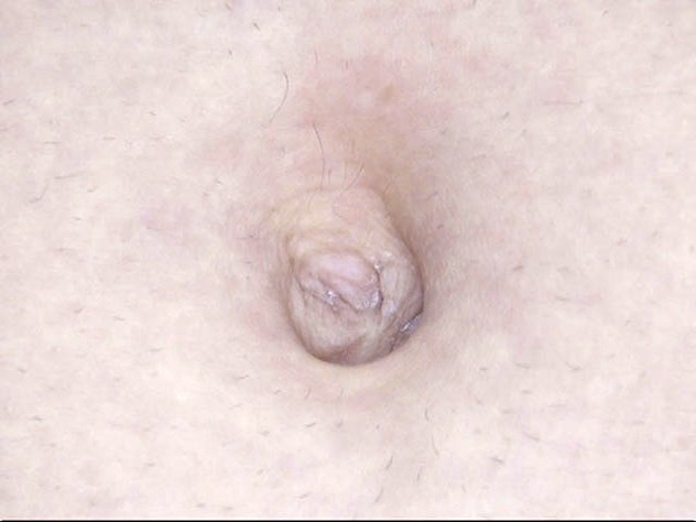 サンプル画像 13