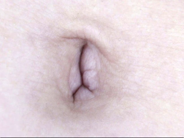 サンプル画像 16