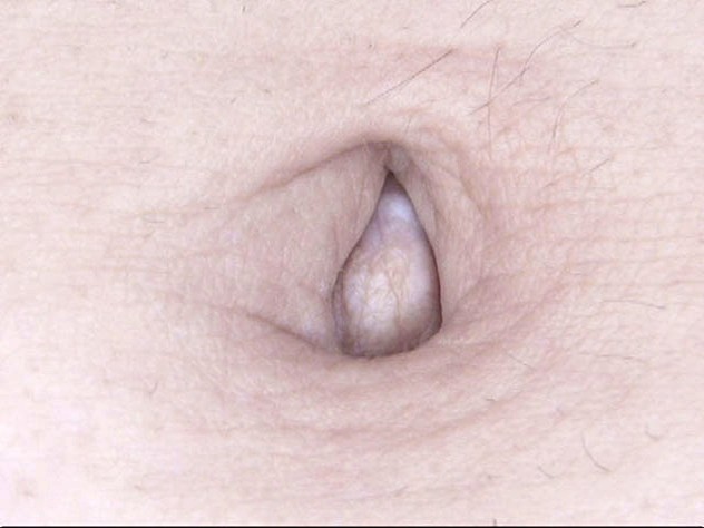 サンプル画像 4