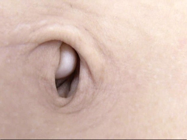 サンプル画像 8