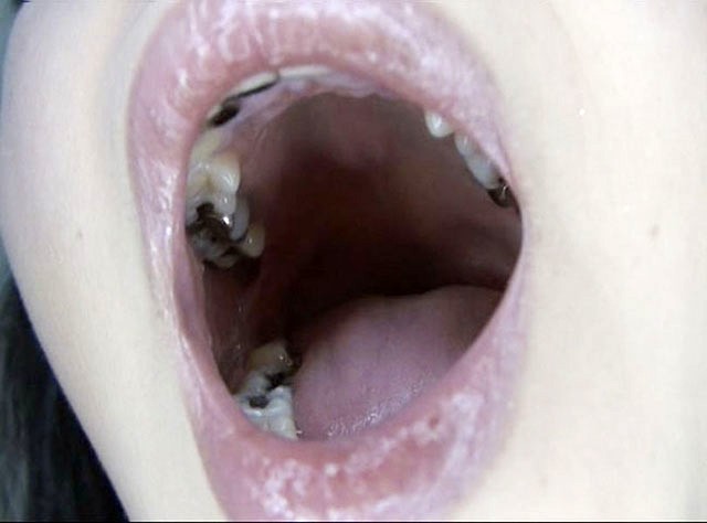 サンプル画像 2