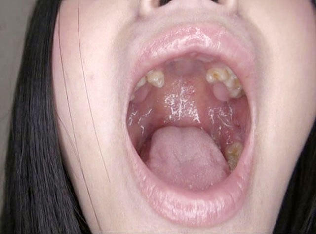 サンプル画像 11