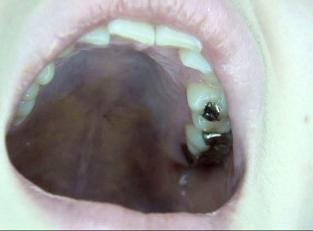 サンプル画像 12