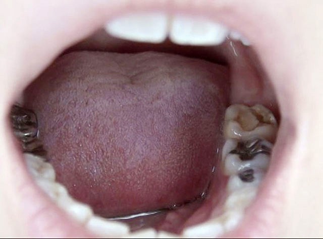 サンプル画像 14