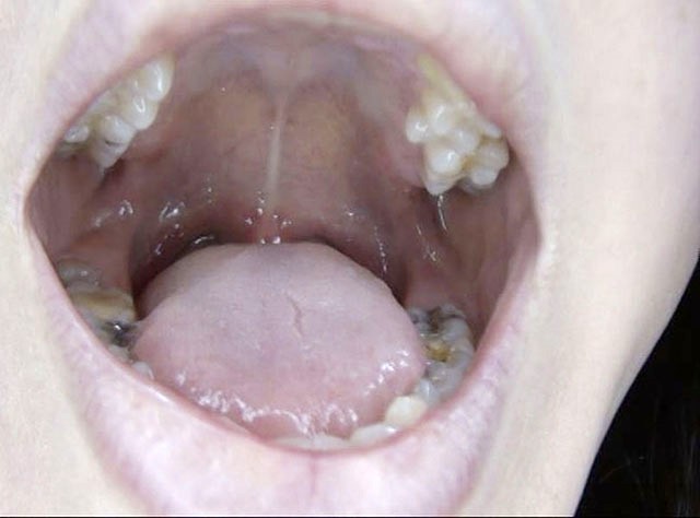 サンプル画像 16