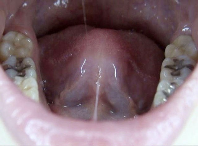 サンプル画像 18