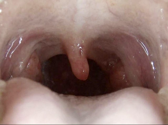 サンプル画像 19