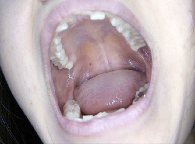 サンプル画像 3