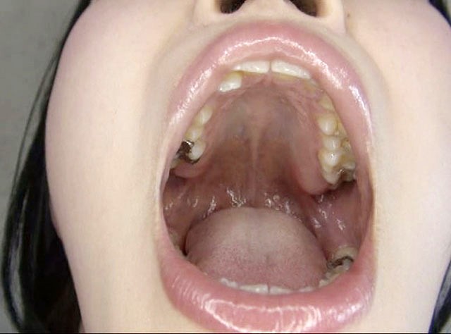 サンプル画像 5