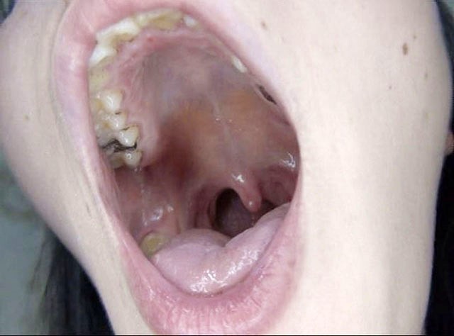 サンプル画像 8