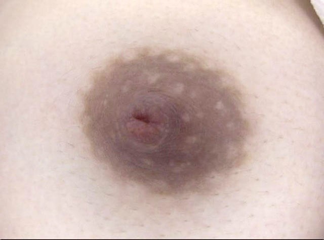 サンプル画像 15