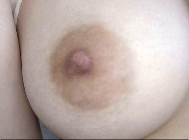 サンプル画像 16