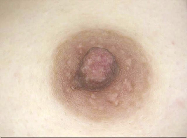 サンプル画像 18