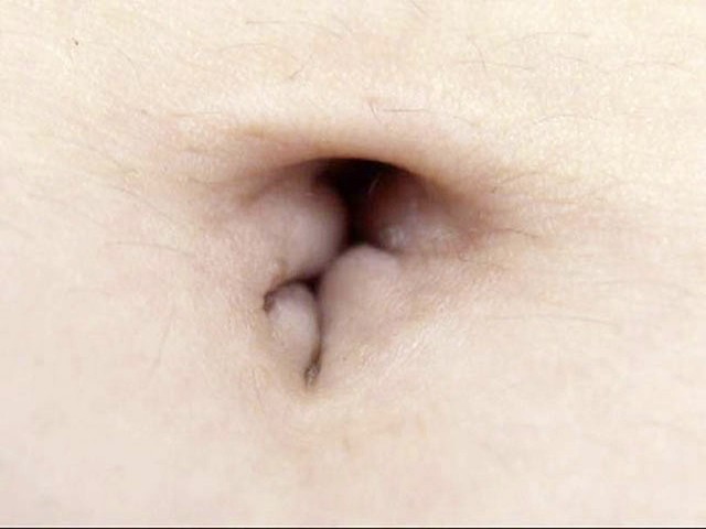 サンプル画像 5