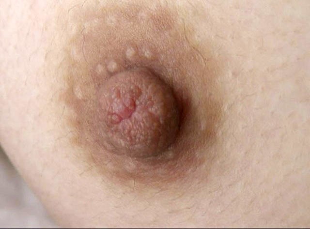 サンプル画像 12