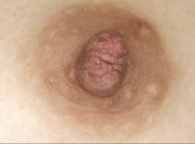 サンプル画像 14