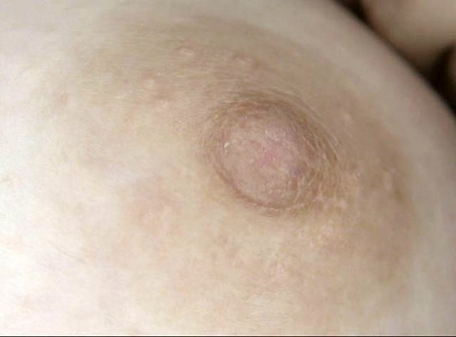 サンプル画像 19