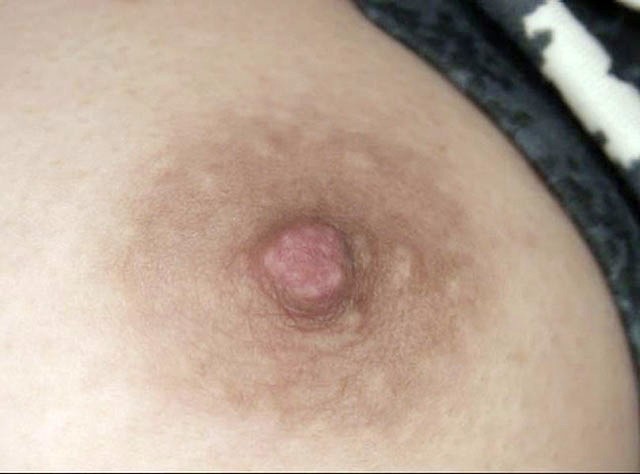 サンプル画像 21