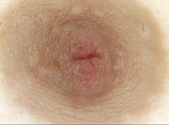 サンプル画像 5