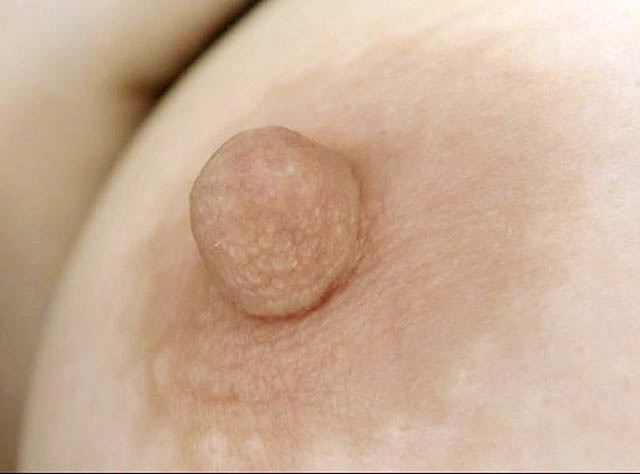 サンプル画像 6