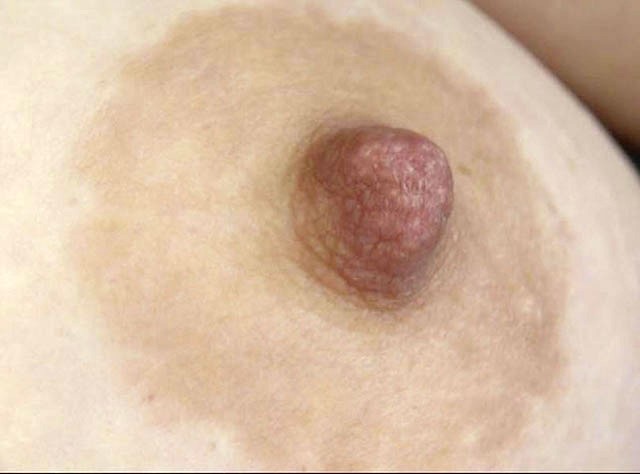 サンプル画像 7