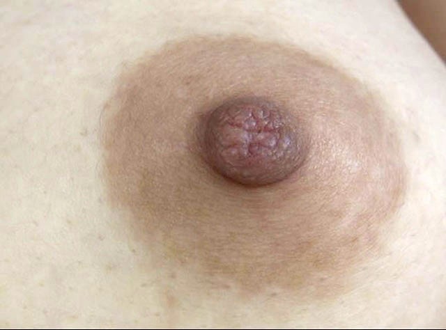 サンプル画像 8