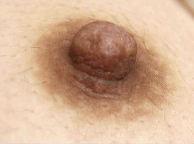 サンプル画像 9