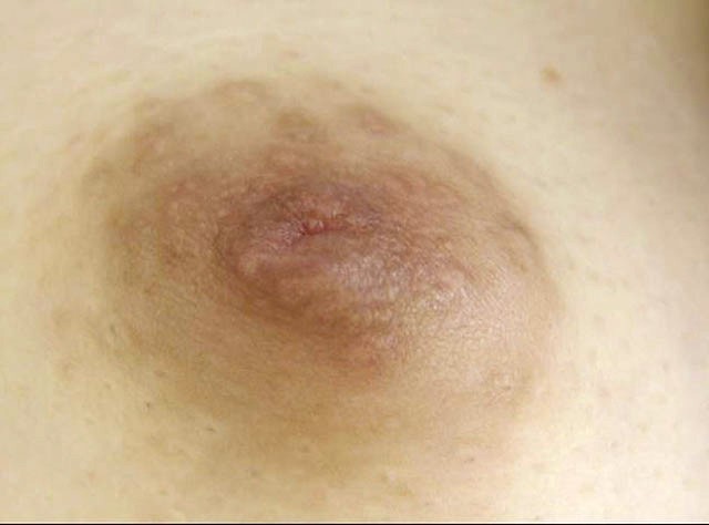 サンプル画像 10