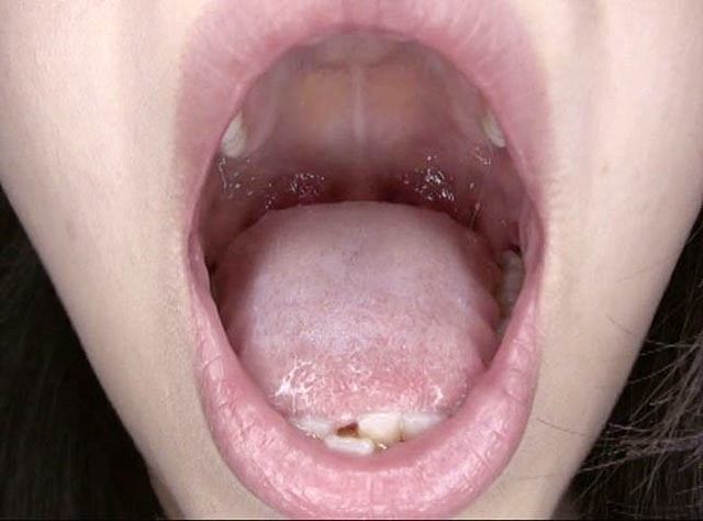 サンプル画像 12