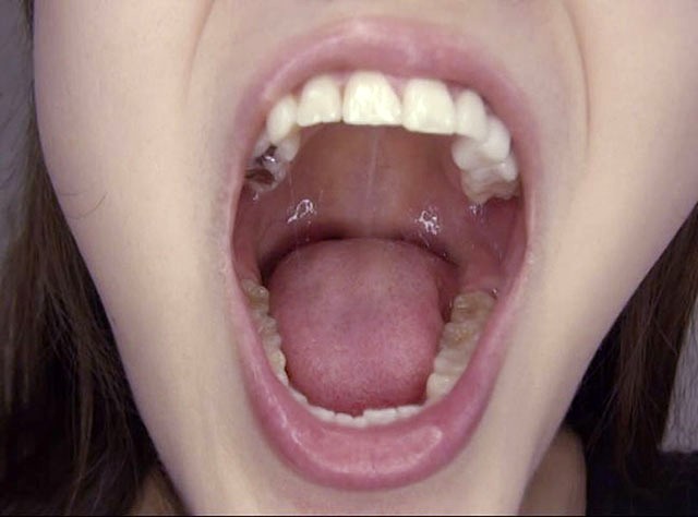 サンプル画像 13