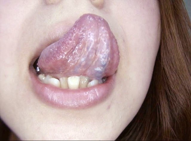 サンプル画像 14