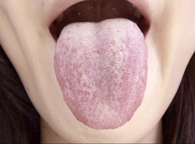 サンプル画像 15