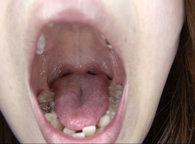 サンプル画像 17