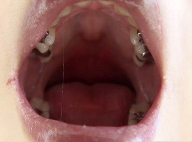 サンプル画像 19