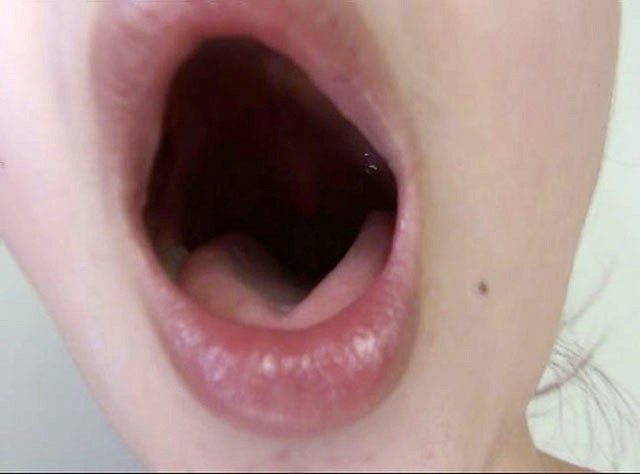 サンプル画像 20