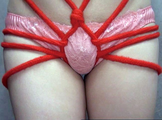 サンプル画像 9