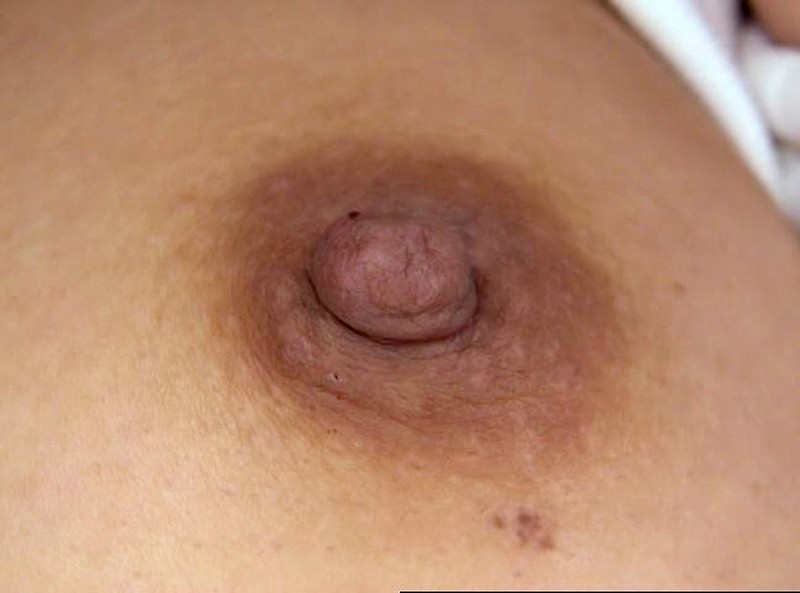 サンプル画像 12