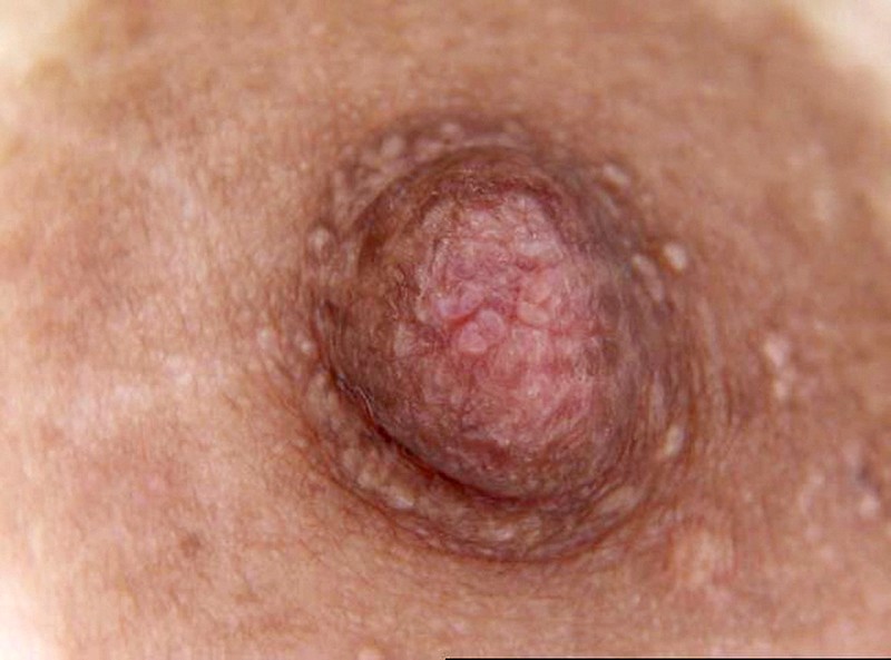 サンプル画像 18