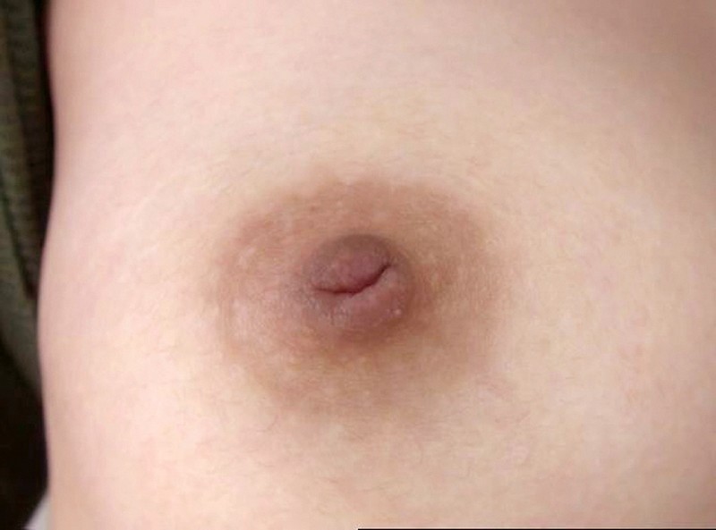 サンプル画像 20