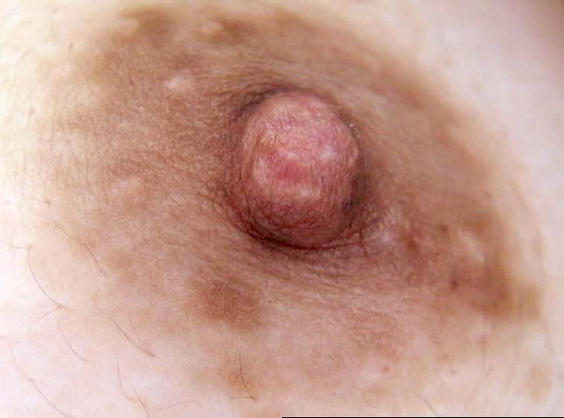 サンプル画像 5