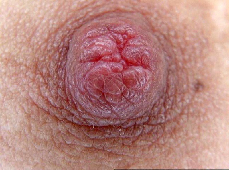 サンプル画像 8