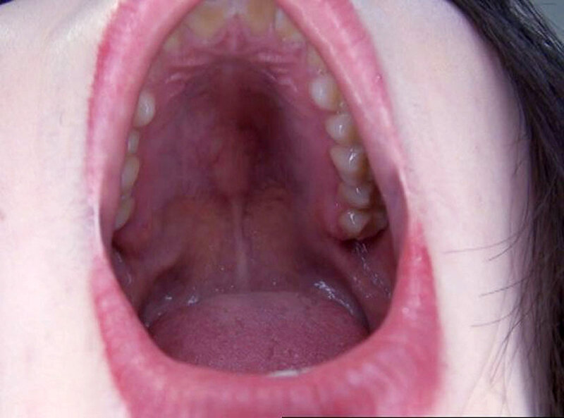 サンプル画像 12