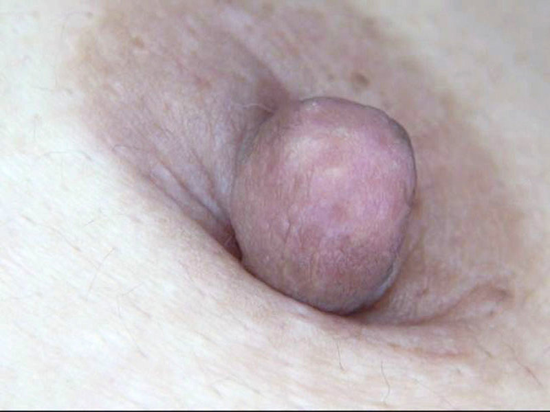 サンプル画像 15