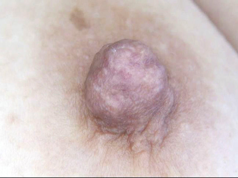 サンプル画像 17