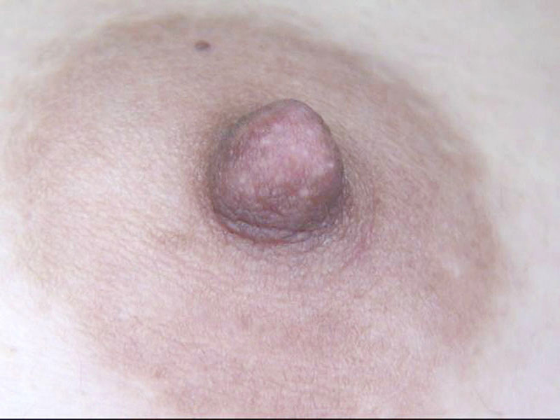 サンプル画像 7