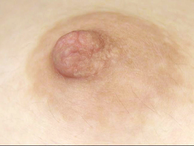 サンプル画像 9