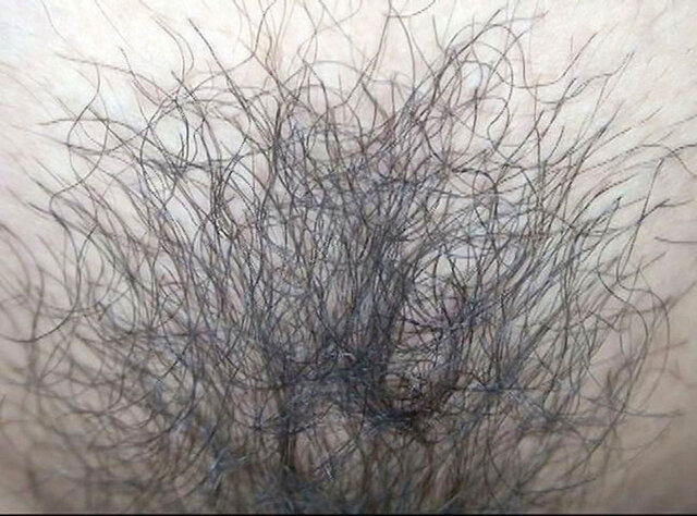 サンプル画像 11