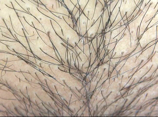 サンプル画像 13